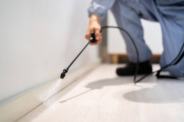 Licensed Pest Control service in Franklinville, NC - Show Me Pest Control