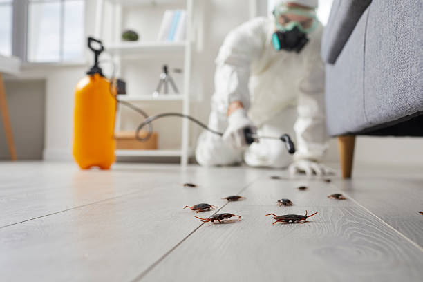 Post-Treatment Bed Bug Interceptor Monitoring in Franklinville