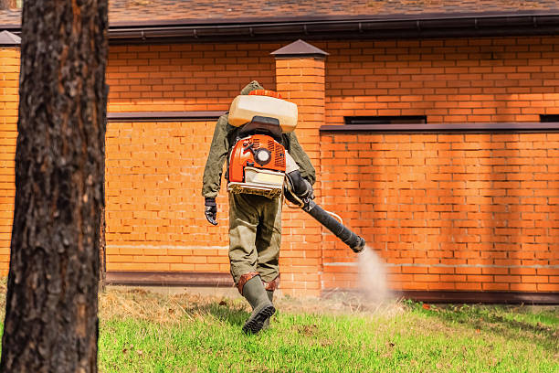 Bed Bug Clearance Verification and Documentation in Franklinville